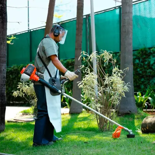 Rossador Profissional 