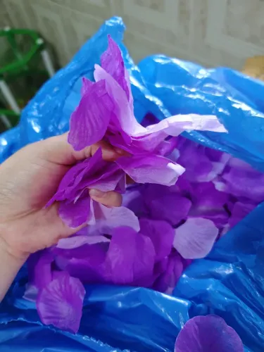 Pétalas roxas e lavanda