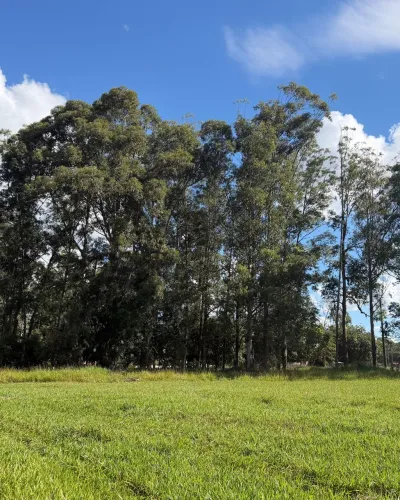 Lote, 1 m² no Santa Bárbara Resort Residence em Águas de Santa Bárbara