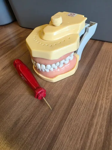 Manequim Dentística MOM - Odontologia