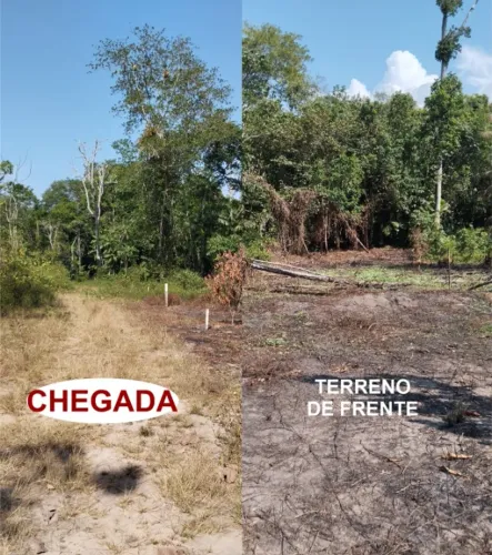 TERRENO COM IGARAPÉ 630 m2