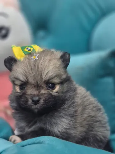 Lulu Fêmea