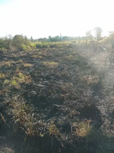 Vendo Terreno no ramal Santa Rosa