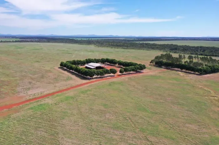 Fazenda a venda em Peixe Tocantins!!!