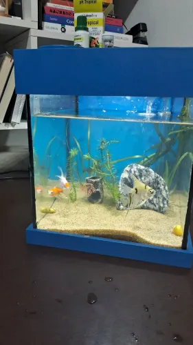 Vendo aquário 