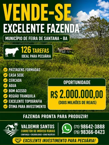 Vendo excelente fazenda no município de Feira de Santana 