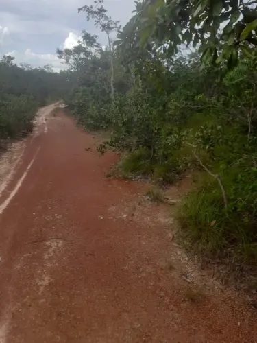 Terra Mista à Venda em Guiratinga-MT | 480 Hectares | Área Bruta | Excelente Oportunidade