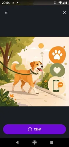 Dog walker 
