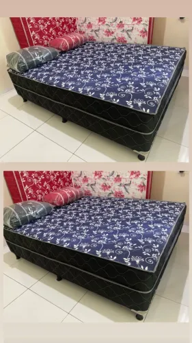 CASAL . Oferta molas