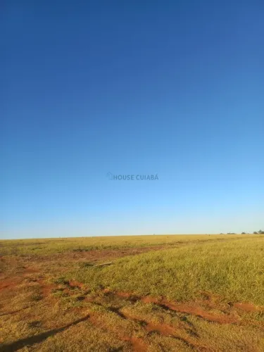 fazenda de 423 hectares no município da cidade Jaciara no estado de Mato grosso