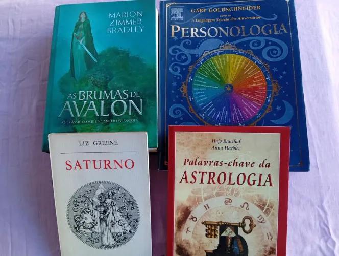 Lote com livros diversos 