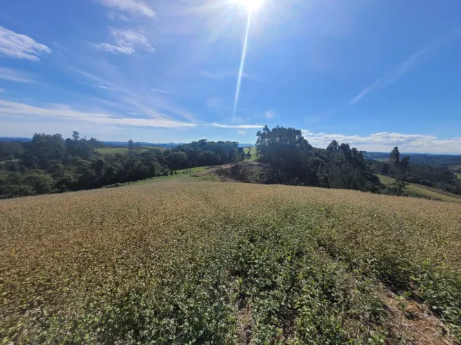 TERRENO RURAL em CAMPO ALEGRE - SC, Bateias de Cima