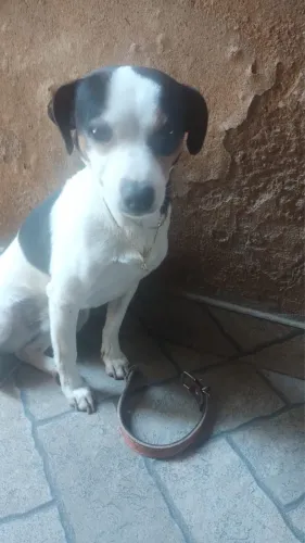 Doação 