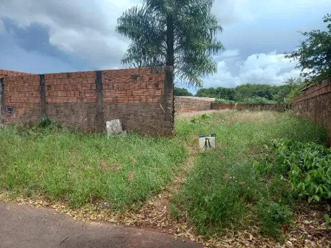 Veneno Mata Mato... Passamos veneno em seu terreno ou aceiro a beira do muro.