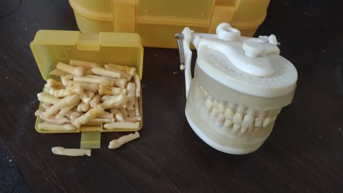 Vendo manequim de periodontia pode ser usado em dentística tbm dependendo do professor