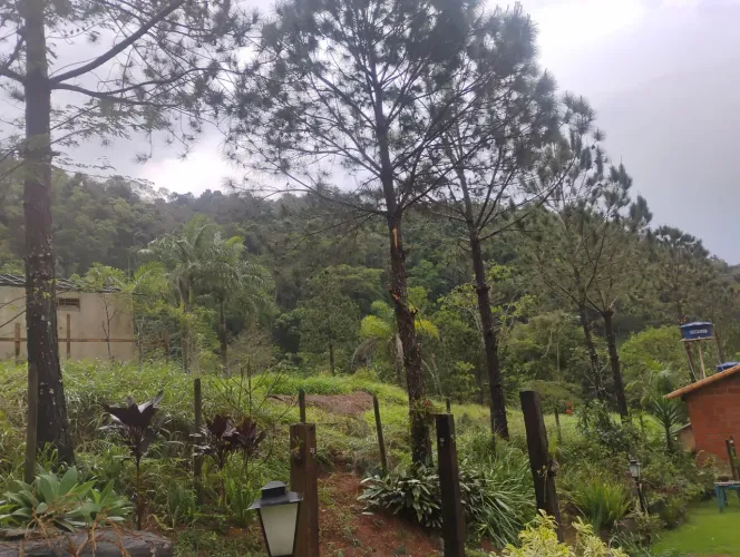 Serviço de roçadeira e moto serra