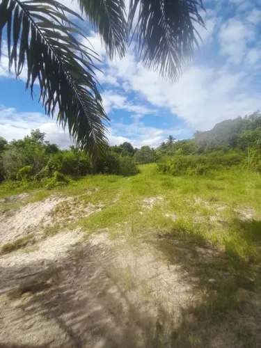 Tem casa ,rio água encanada e plantações