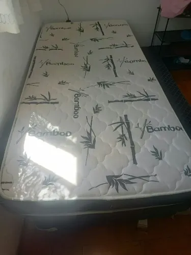Bicama