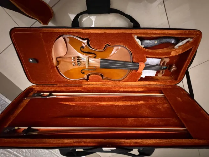 Violino Eagle VE 441 (4/4)