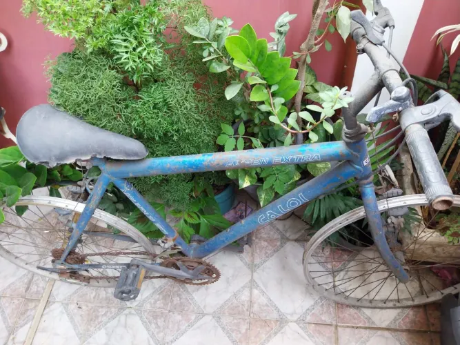 Bicicleta Caloi