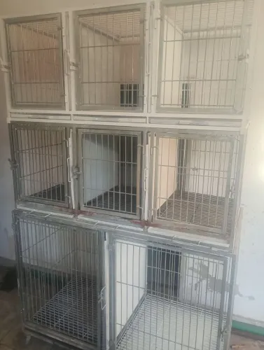 Canil galvanizado oportunidade