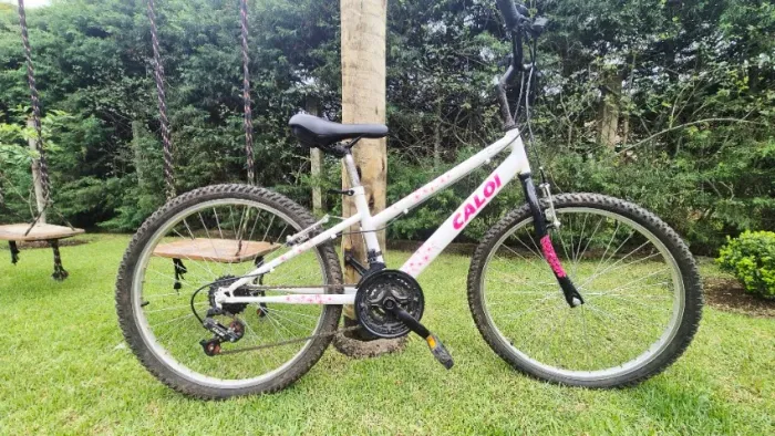 Bicicleta Caloi Ceci Aro 24 - Revisada