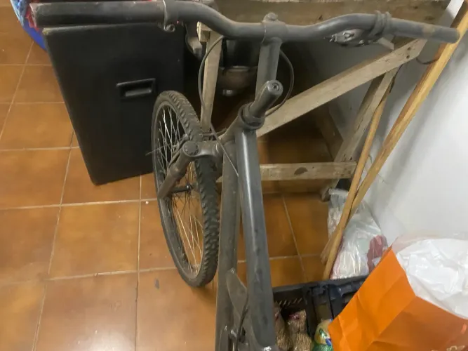 Bicicleta