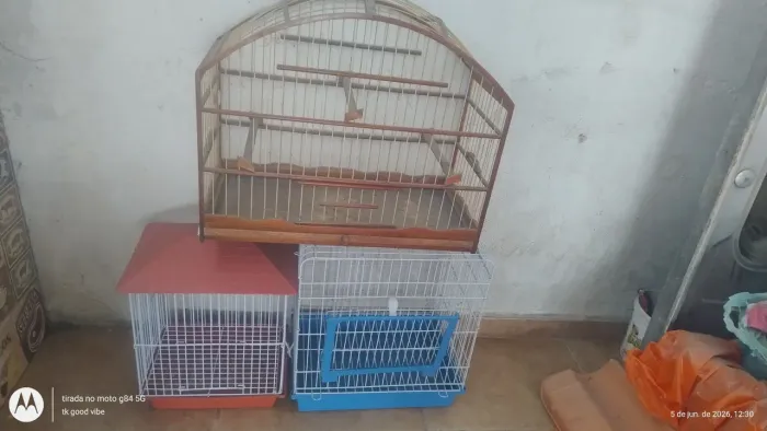 Vendo gaiolas