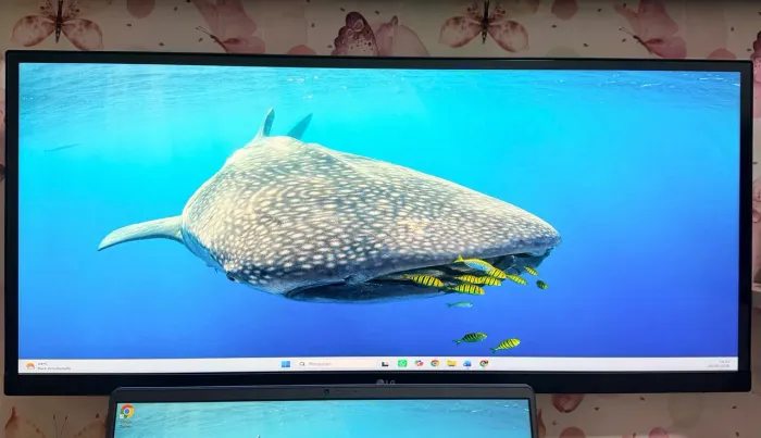 Monitor LG Ultrawide 29 29WK600-W | Full HD | IPS