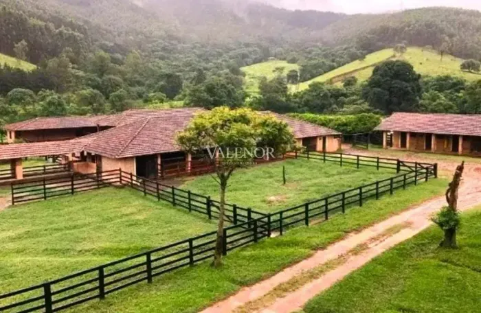 Fazenda Produtiva de 453 Hectares à Venda | Pecuária de Alto Nível, Estrutura Completa e P