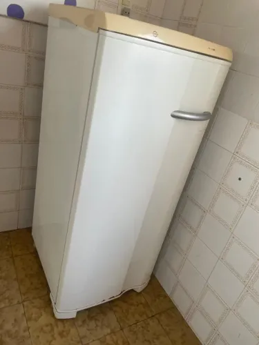 Freezer Vertical Electrolux FE18 - Gelando Perfeitamente