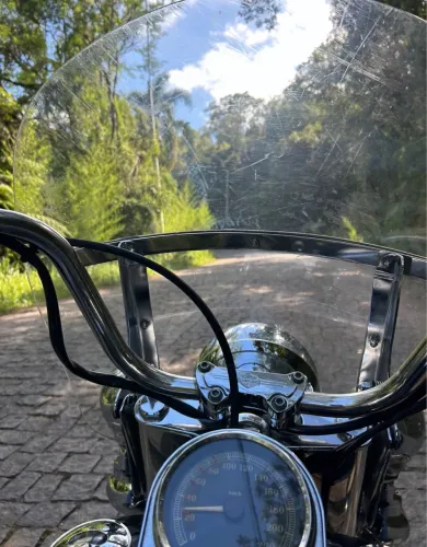 Softail Heritage Classic 1600