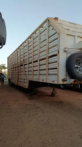 Carreta boiadeira 40 bois.