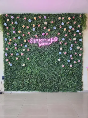 Jardim vertical Instagramavel