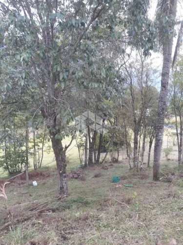 Área de Terras com 11.777,62 m² em Linha Pirajá, Nova Petrópolis