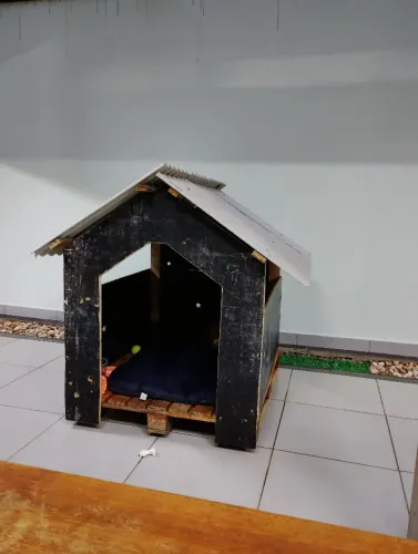 Casinha para cachorro de grande porte