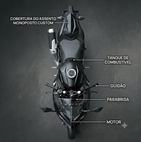 Monoposto Ninja 500 e Z500