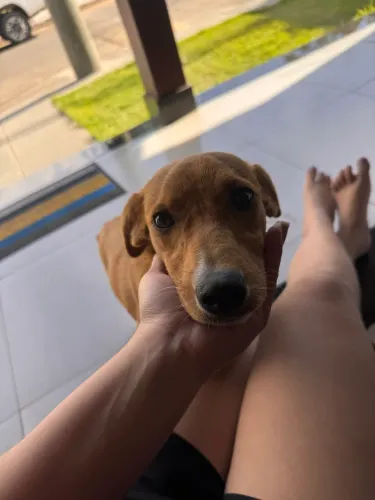 Doação responsável 