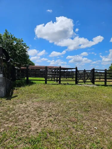 Sítio Chácara Fazenda em Alagoinhas-Aramari-Bahia.