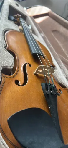 Violino 