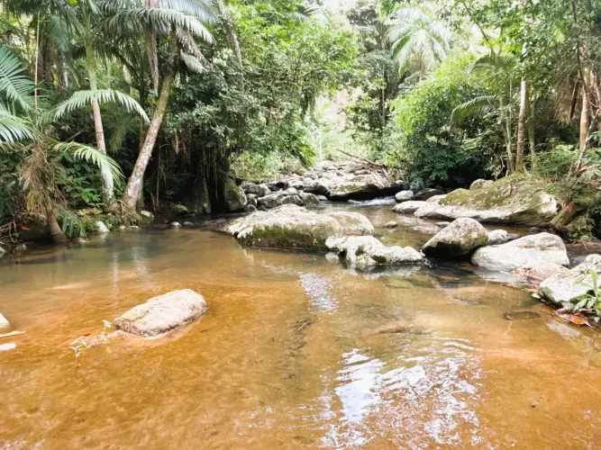 Sítio à Venda em Rodeio/SC, 2,5km da BR470. Aceita permuta