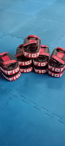Manoplas de Muay Thai 