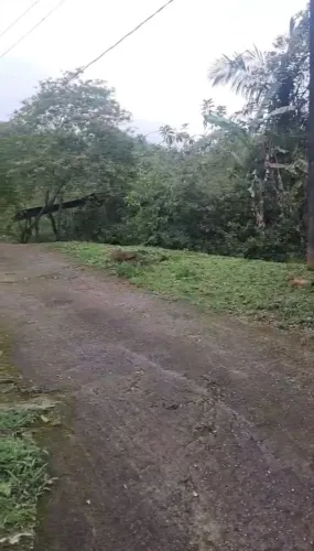 Vende-se Pequena chácara a Vista