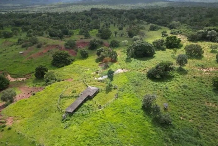 Propriedade Rural a Venda - Babaçulândia Tocantins