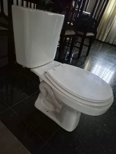Vaso sanitário com assento e caixa