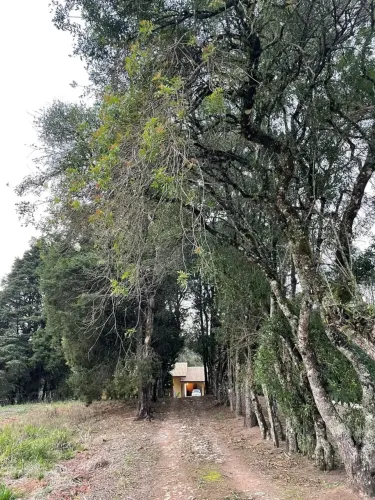Fazenda/Sítio/Chácara para venda possui 230 metros quadrados com 3 quartos