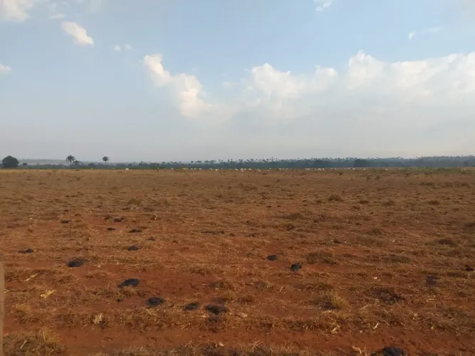 Fazenda a venda em - Goiatins - Tocantins