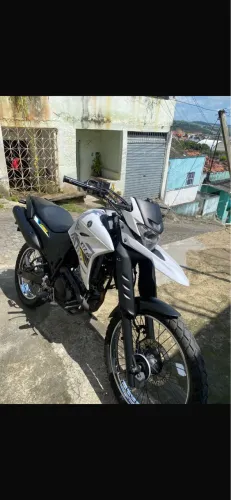 Vendo lander 2019/2020