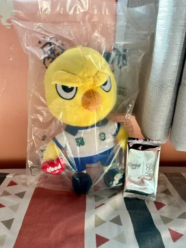 CANARINHO IFOOD 58