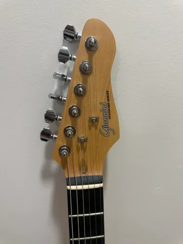 Guitarra marca Gianinne , apenas 1 dia de uso , em perfeitas condições.